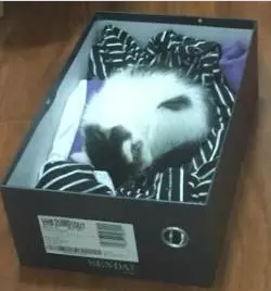 blob.png