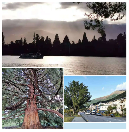 QQ浏览器截图20210806135110.png