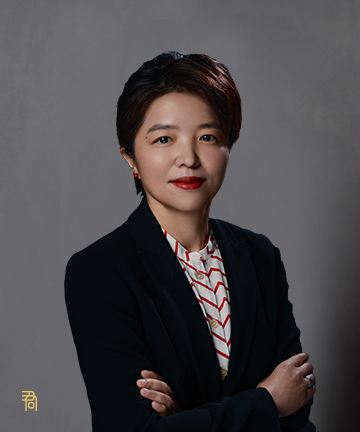 君合专业人员